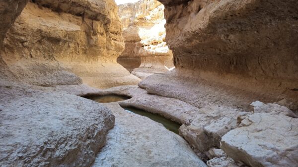 שובר הנחה - שעתיים - טיול ג'יפים ופיקניק זוגי בהרי אילת 1 סיור פסגות בהרי אילת