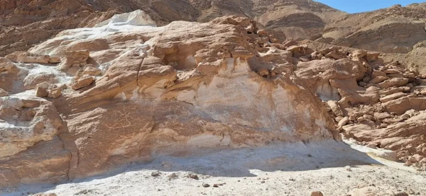 אטרקציות במדבר