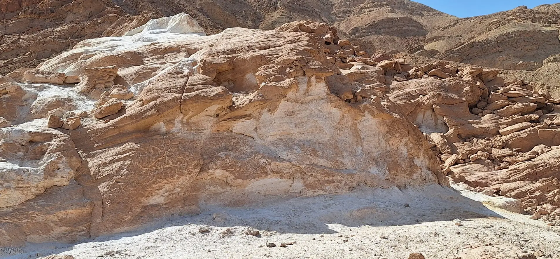 אטרקציות במדבר