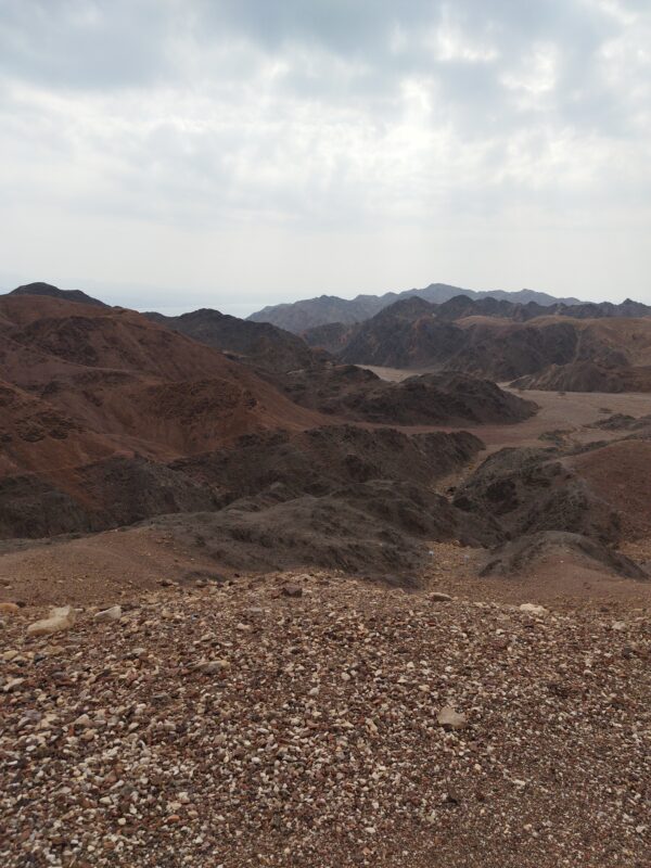 IMG_20221124_105837 שובר הנחה - טיול משפחתי בג'יפ פתוח בהרי אילת