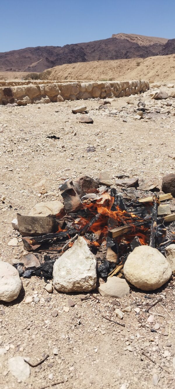 IMG_20230520_122241 שובר הנחה - טיול משפחתי בג'יפ פתוח בהרי אילת